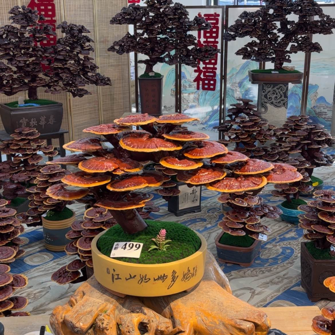 【闪购商品】58888