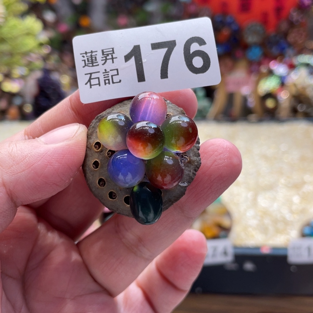 核桃木/黑胡桃（胡桃木）176