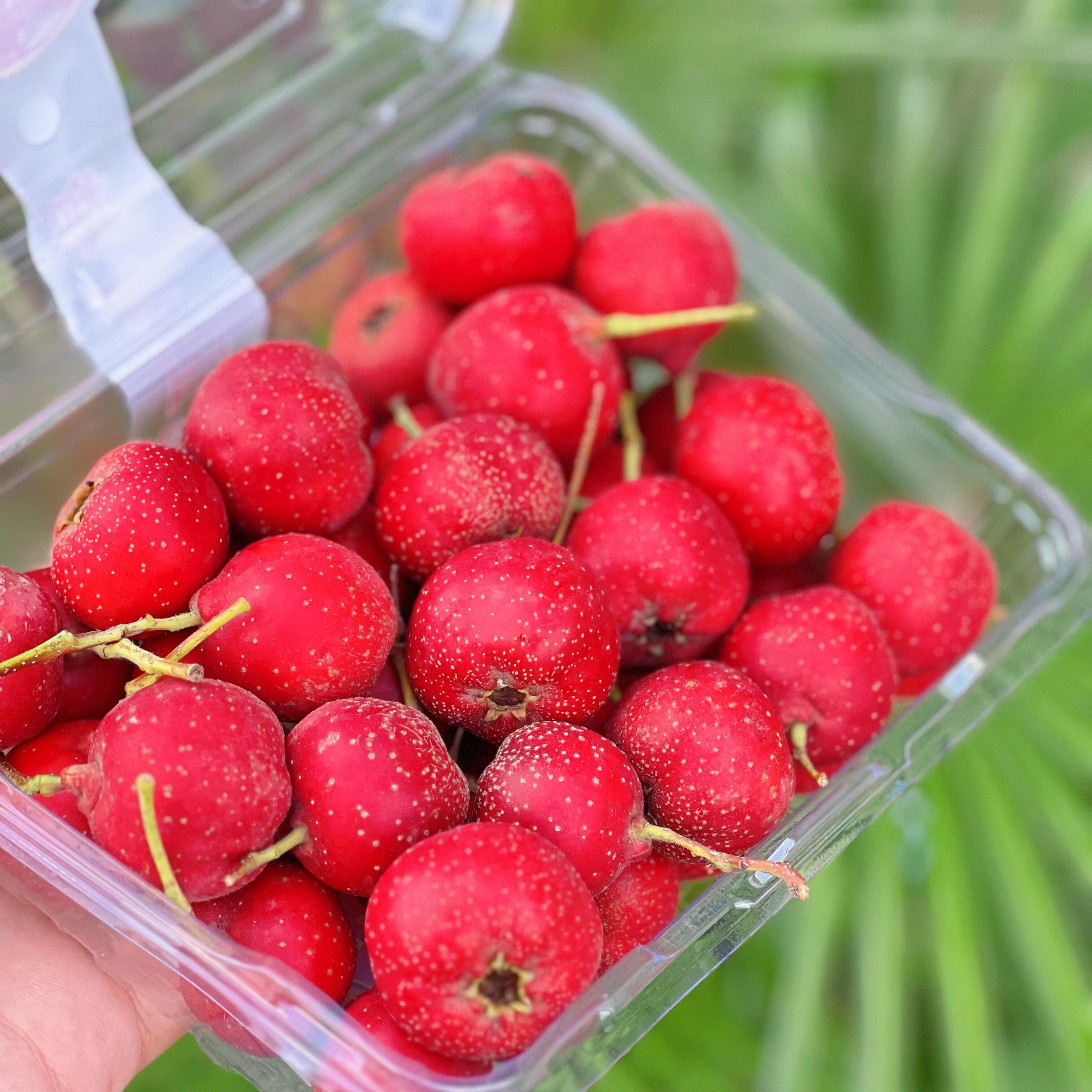 开胃甜红小山楂新鲜水果山里红果鲜果精选酸甜可口1盒