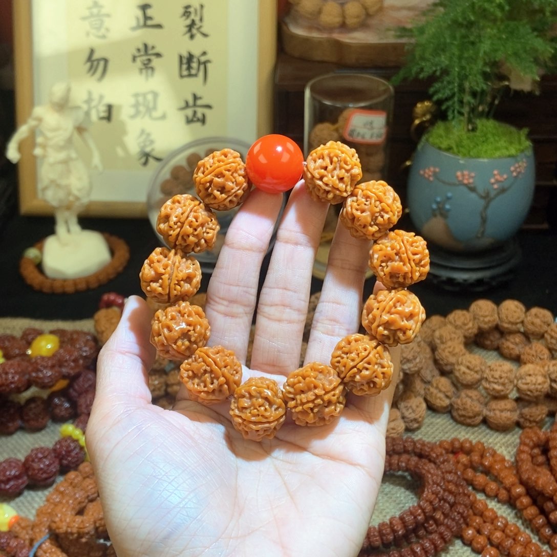 金刚菩提吊坠205半玉化红珠