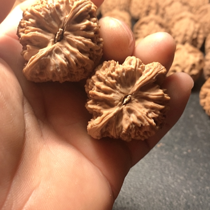 【闪购商品】花****南疆