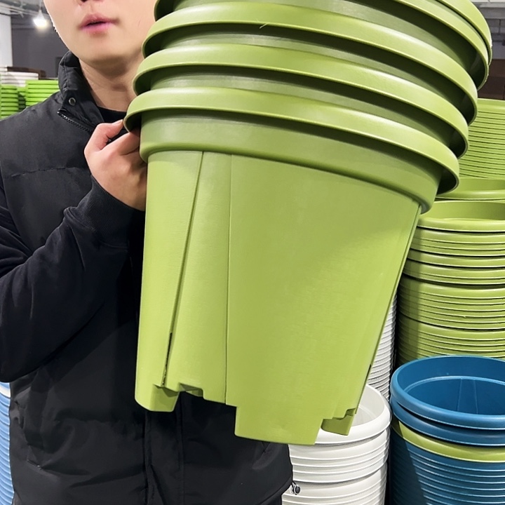 清仓青山口40高34果绿色5只无托