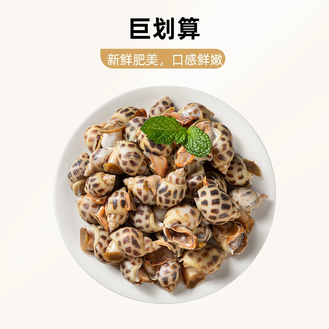 【拍2斤送2斤】鲜活速冻花螺新鲜海鲜螺类干净鲜甜急冻锁鲜无沙无水12/3【史情】