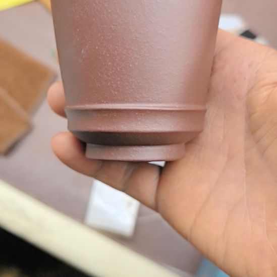 &****&晶晶与亮亮第哦哦哦