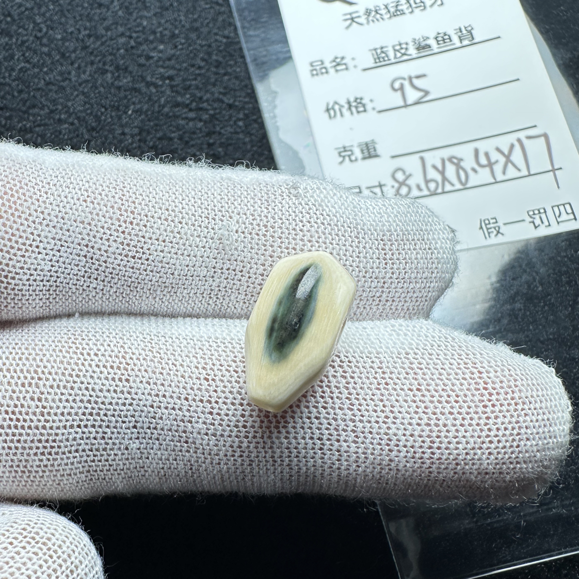 Q116天然猛犸象牙蓝皮鲨鱼背三通8.6*8.4*17mm