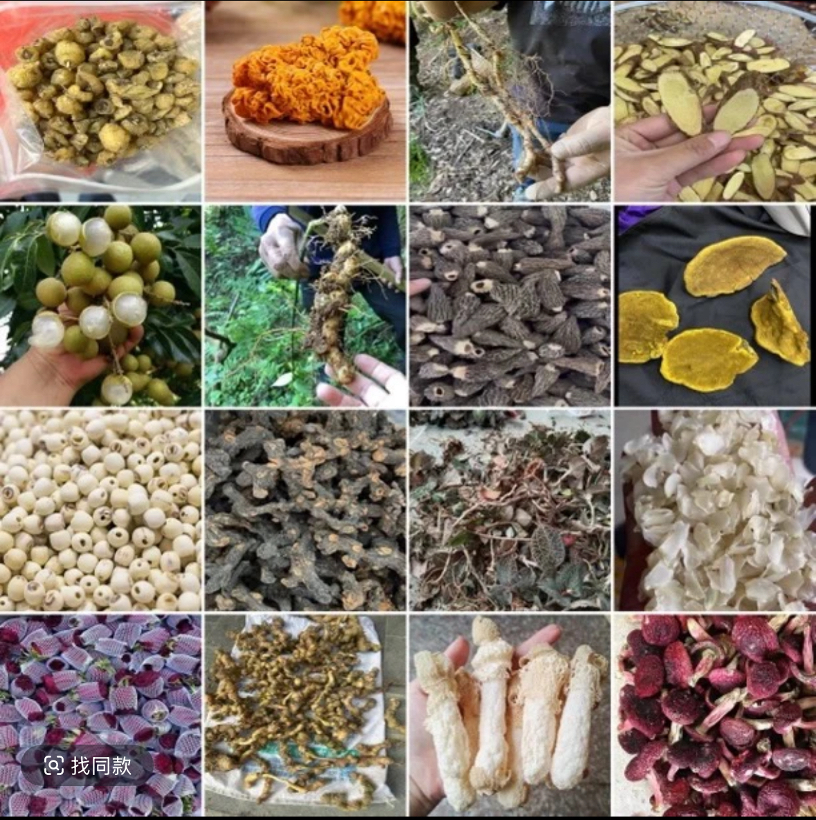 云南土特产香菇直播专用链接2