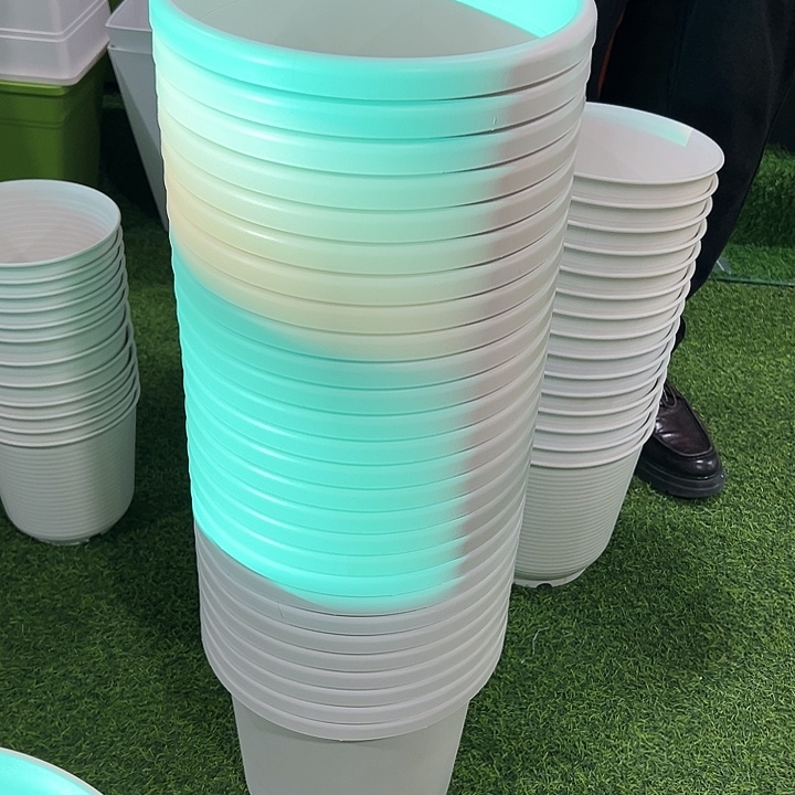 微瑕4号口25高21.5白色9只无托