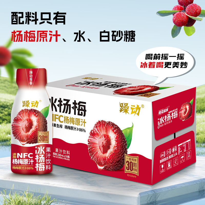躁动杨梅汁果汁饮料夏季冰镇清爽解腻酸甜245ml*10瓶