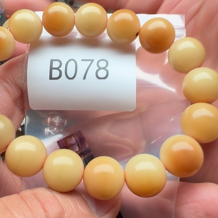 手串菩提根/象牙果