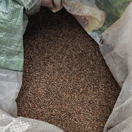 中国大陆化作酥麻2斤