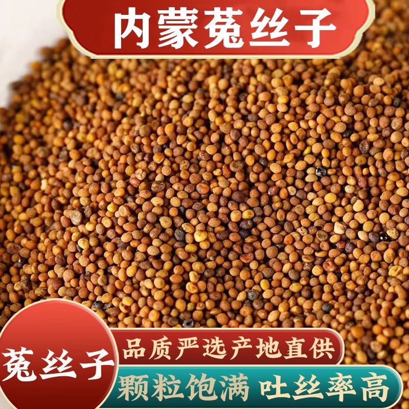 甄选内蒙古菟丝子正品可煮水泡酒泡茶