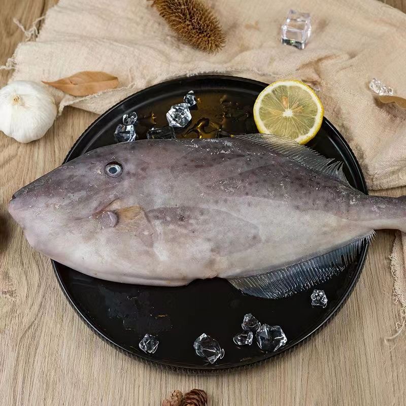 新鲜整条扒皮鱼马面鱼剥皮鱼达仔鱼大条耗儿鱼 1斤3条左右 顺丰