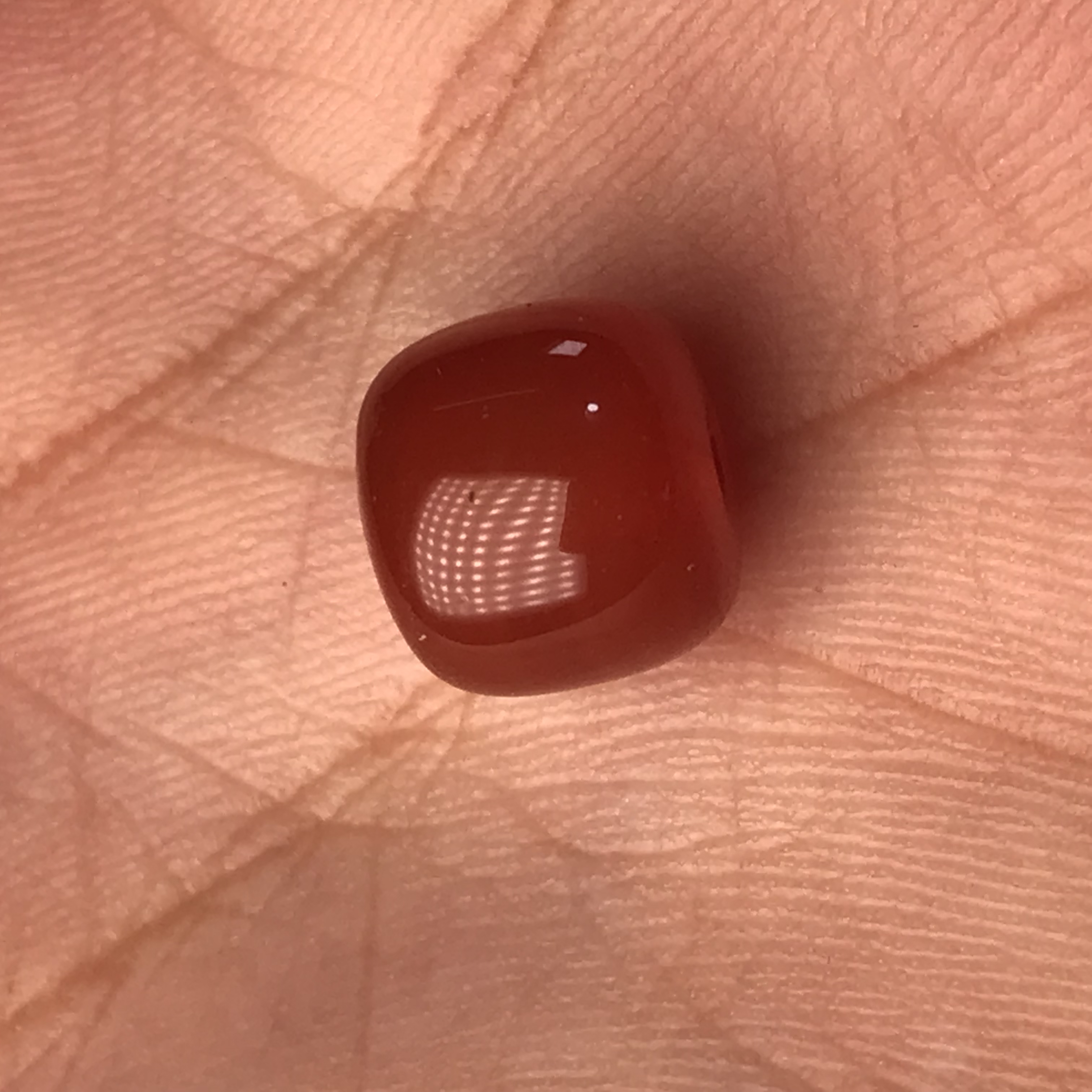 天然瓦西柿子红配珠老型13.5㎜颗直播选购多样性发其一 