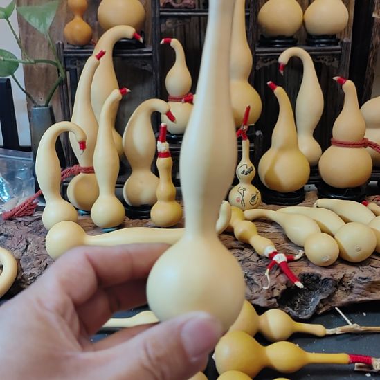 B***灬木本捻观音瓶，不退不换