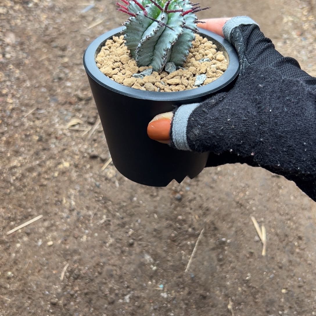 白依wwwwwwwwwwwwwww