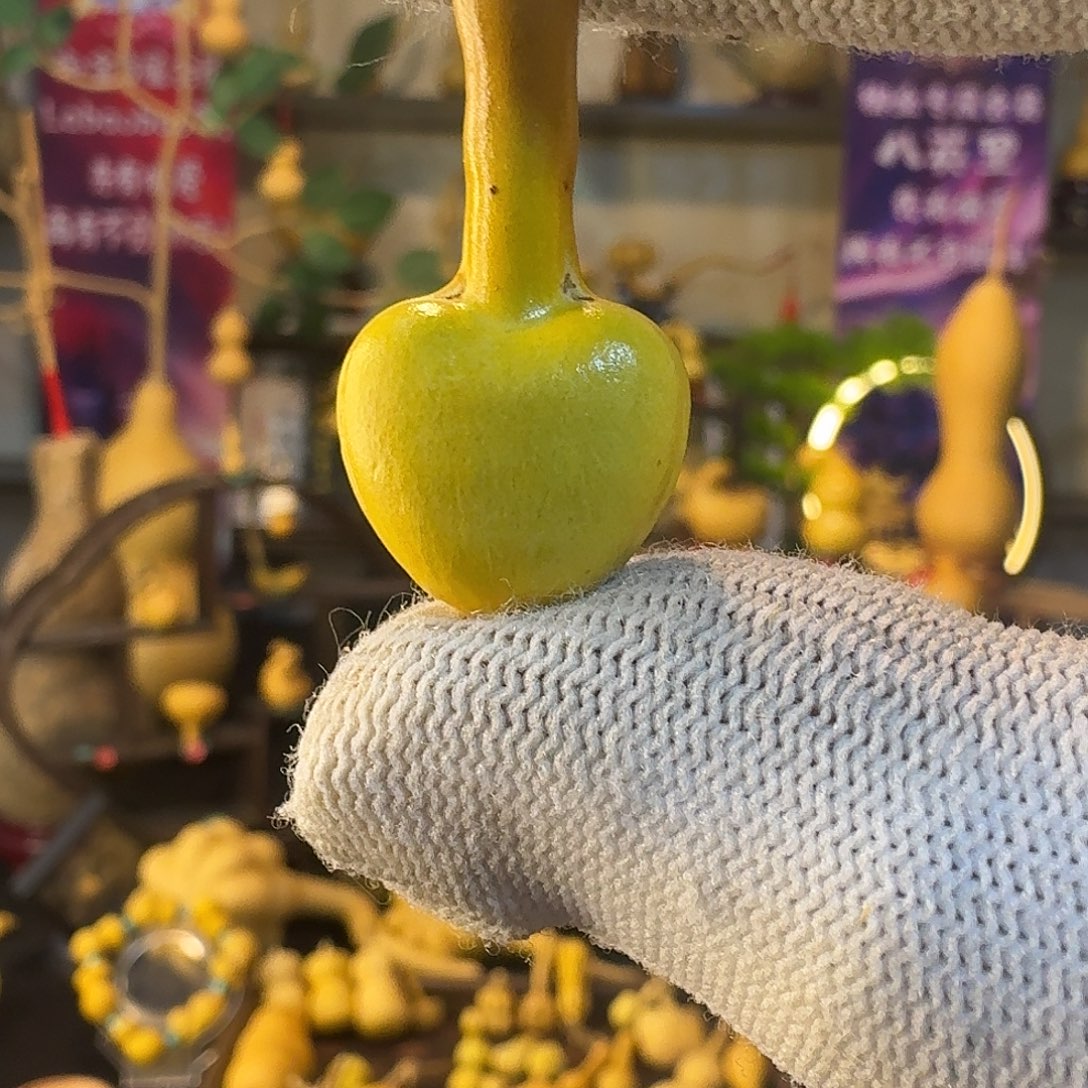 *****葫芦爱心定向定向活动