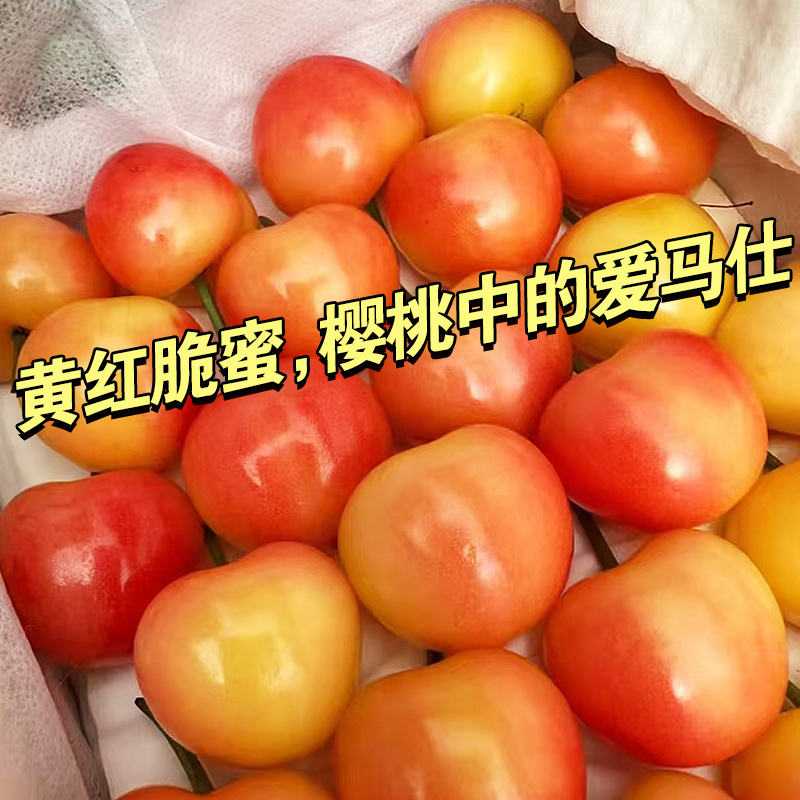 山东黄红脆蜜黄金大樱桃国产车厘子酸甜口自然成熟樱桃