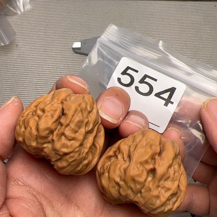 核桃38边43肚554号蛙