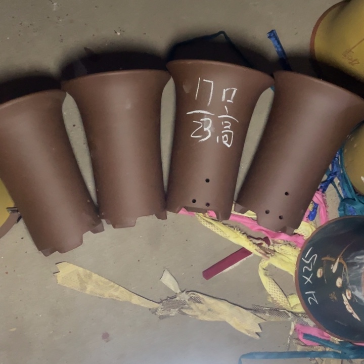 周深周深周深周深周深周深  