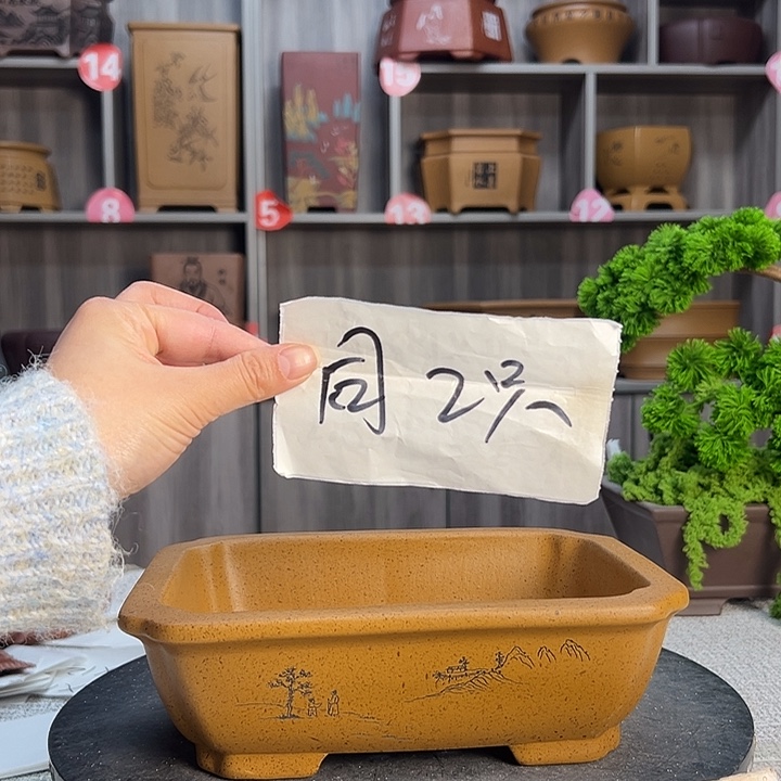 花盆紫砂紫砂第一