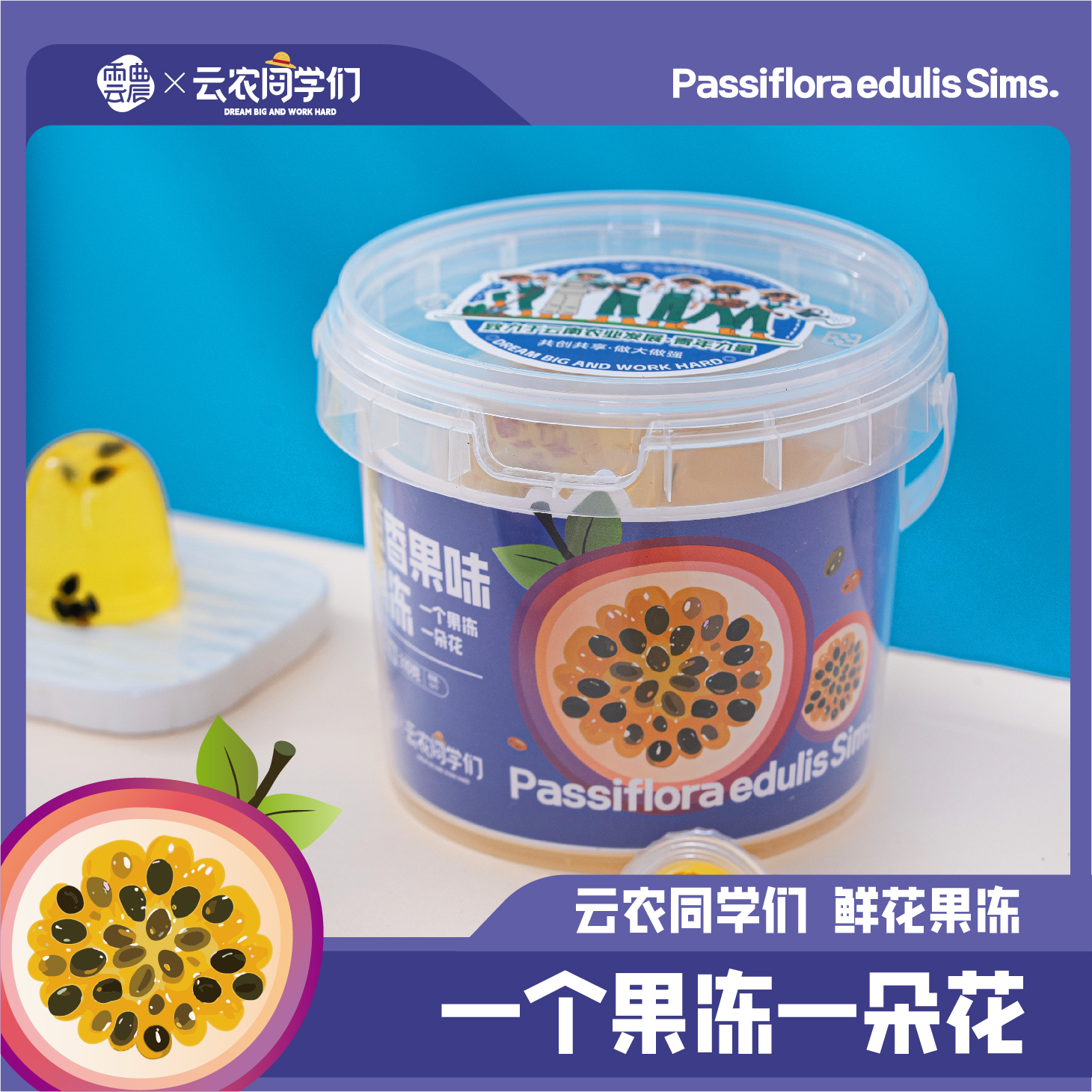 百香果果冻  310g/桶 解馋零食果冻云南特产