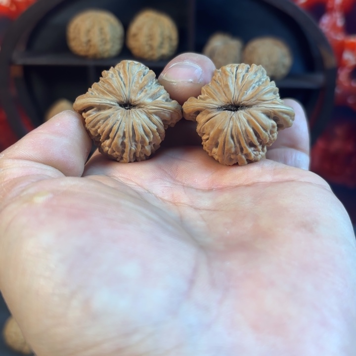 汉高楼，全品红皮37尺