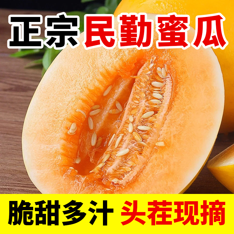 正宗甘肃民勤沙漠金蜜瓜清甜爽口新鲜水果产地直发tt