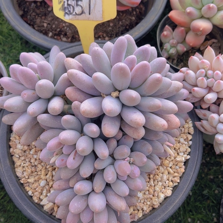 健健康康平平安安