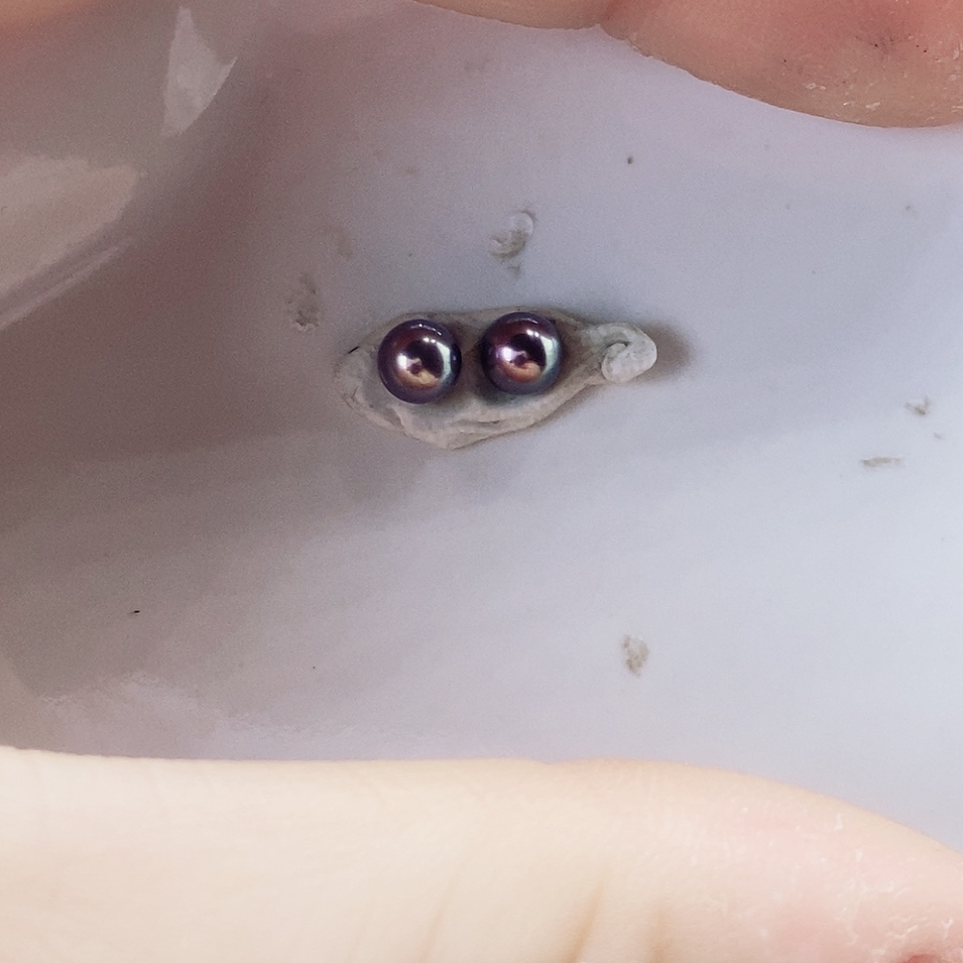 假***何淡水珍珠耳饰未镶嵌