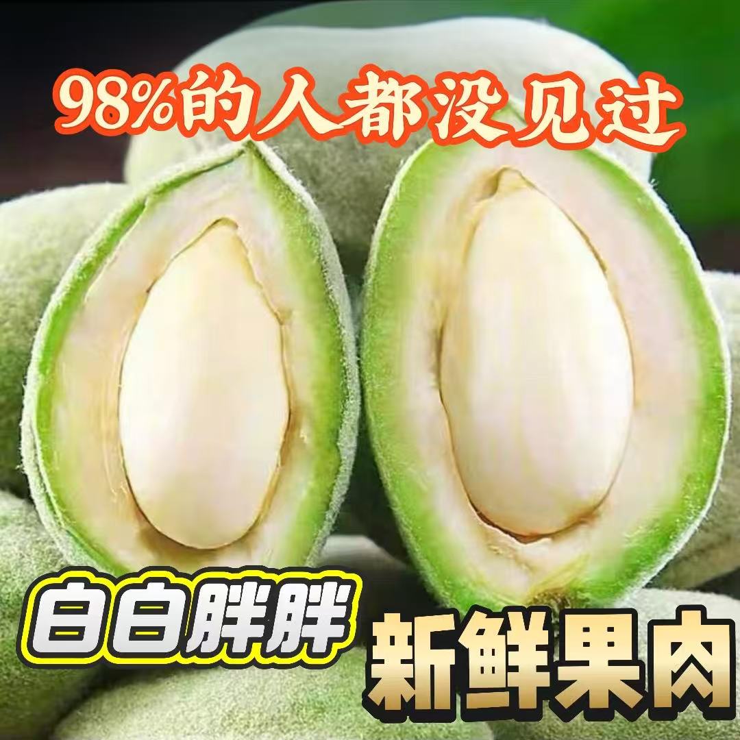新疆新鲜现摘鲜巴旦木应季水果原味带青皮鲜果2斤/4斤装送开果器