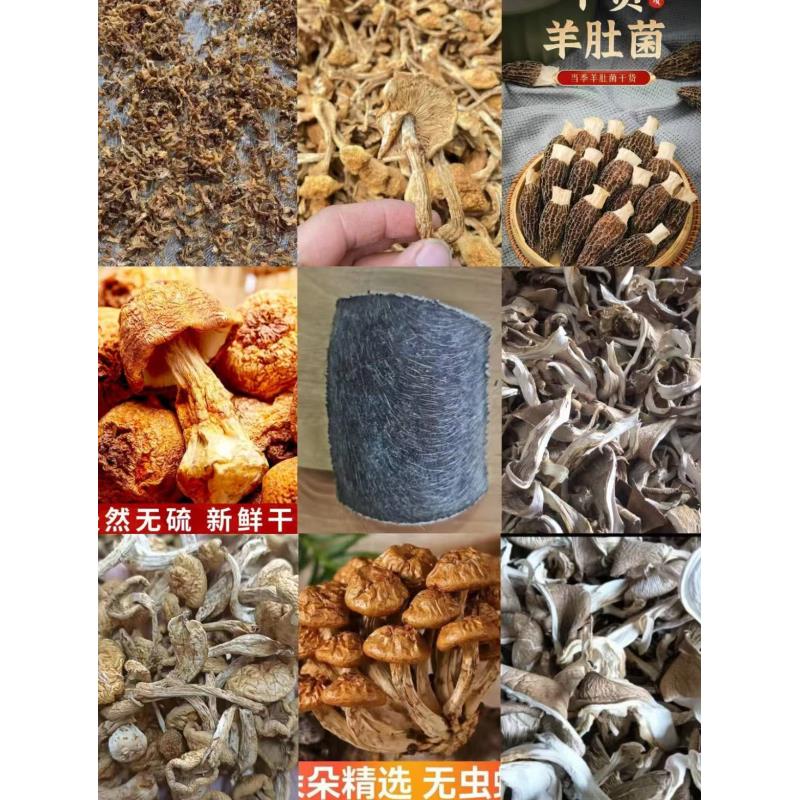FD67- 【橡匹】高端品质   香菇菌子   现收山货