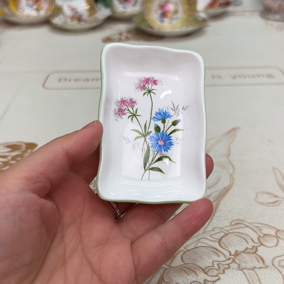 盘维多利亚欧洲中古