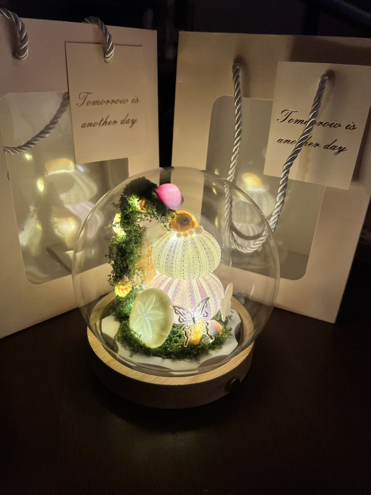 【11月上新】天然贝壳海螺海胆氛围夜灯创意手工成品圣诞节生日礼物