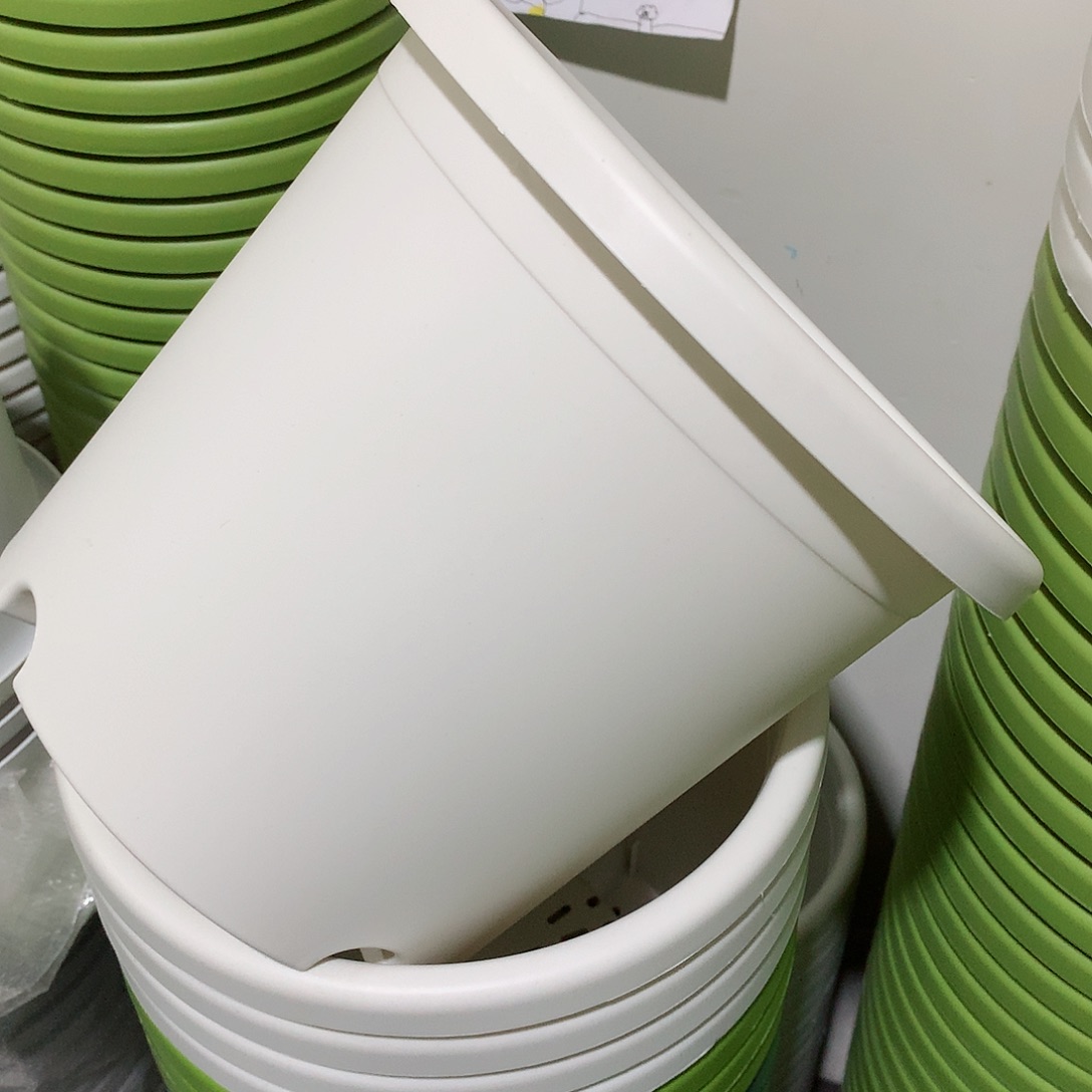 树脂四季口25白10个无托