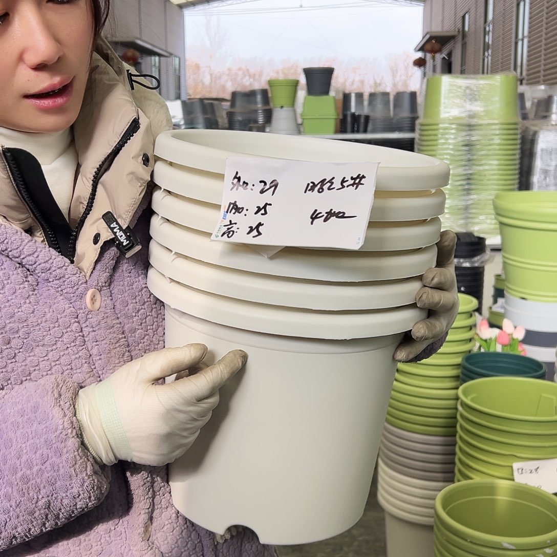 四季盆5#白色6个无托