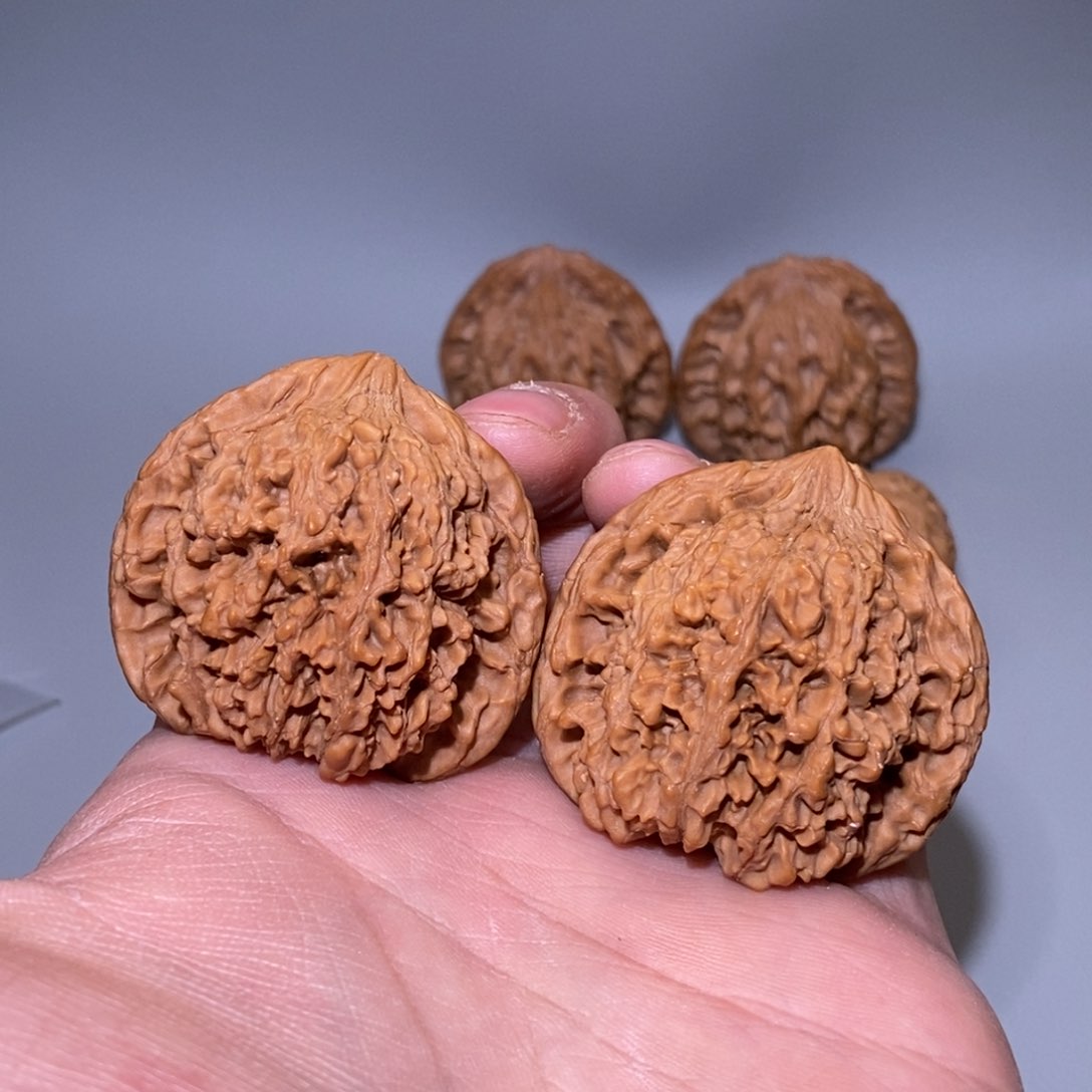 44尺 全品无修 白茬 满天星