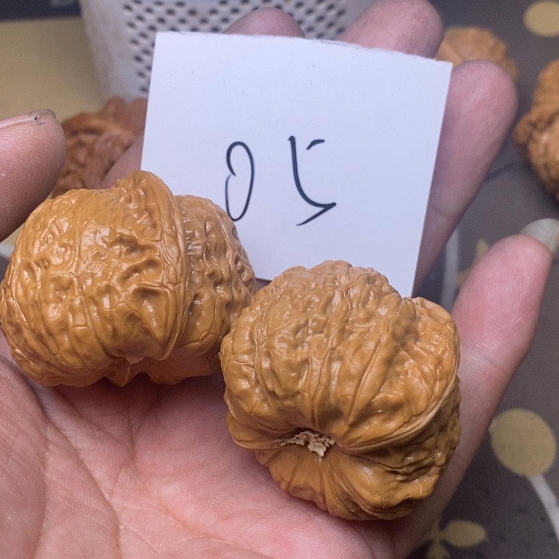 核桃南瓜蹲尺寸42