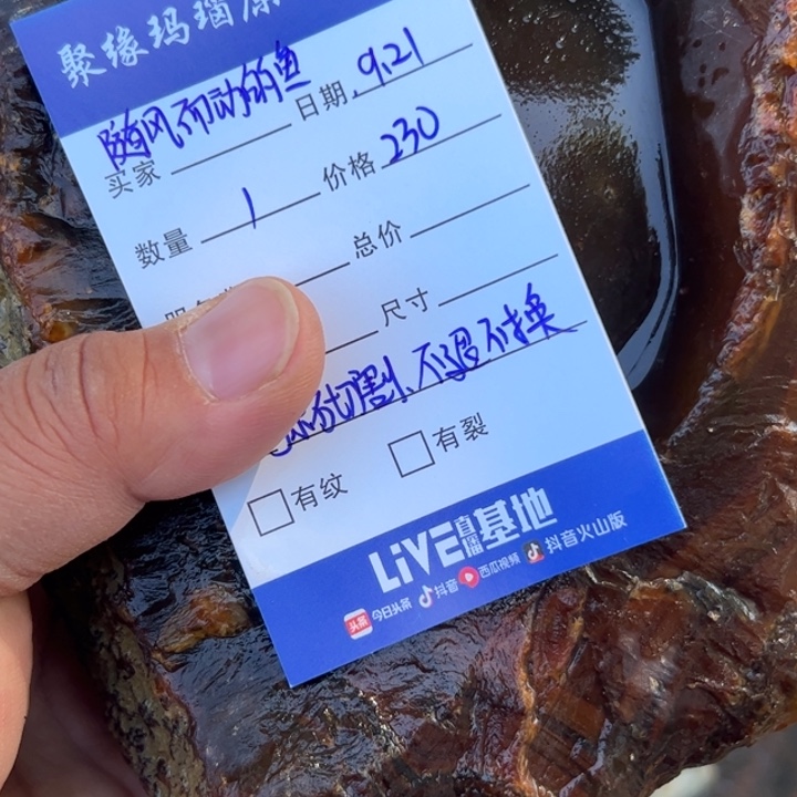 未镶嵌玛瑙/玉髓珠宝半成品原石切割不退不换