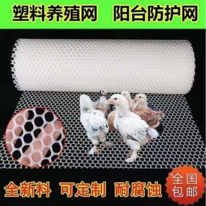 婆罗门鸡梵天鸡巨型鸡养殖基地专用养殖防护网防鸟网
