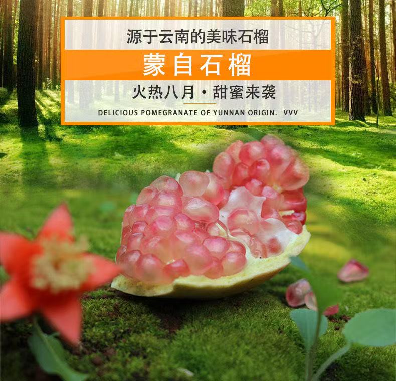 云南蒙自石榴新鲜水果饱满多汁鲜甜爆汁红心批发商超同款果香四溢