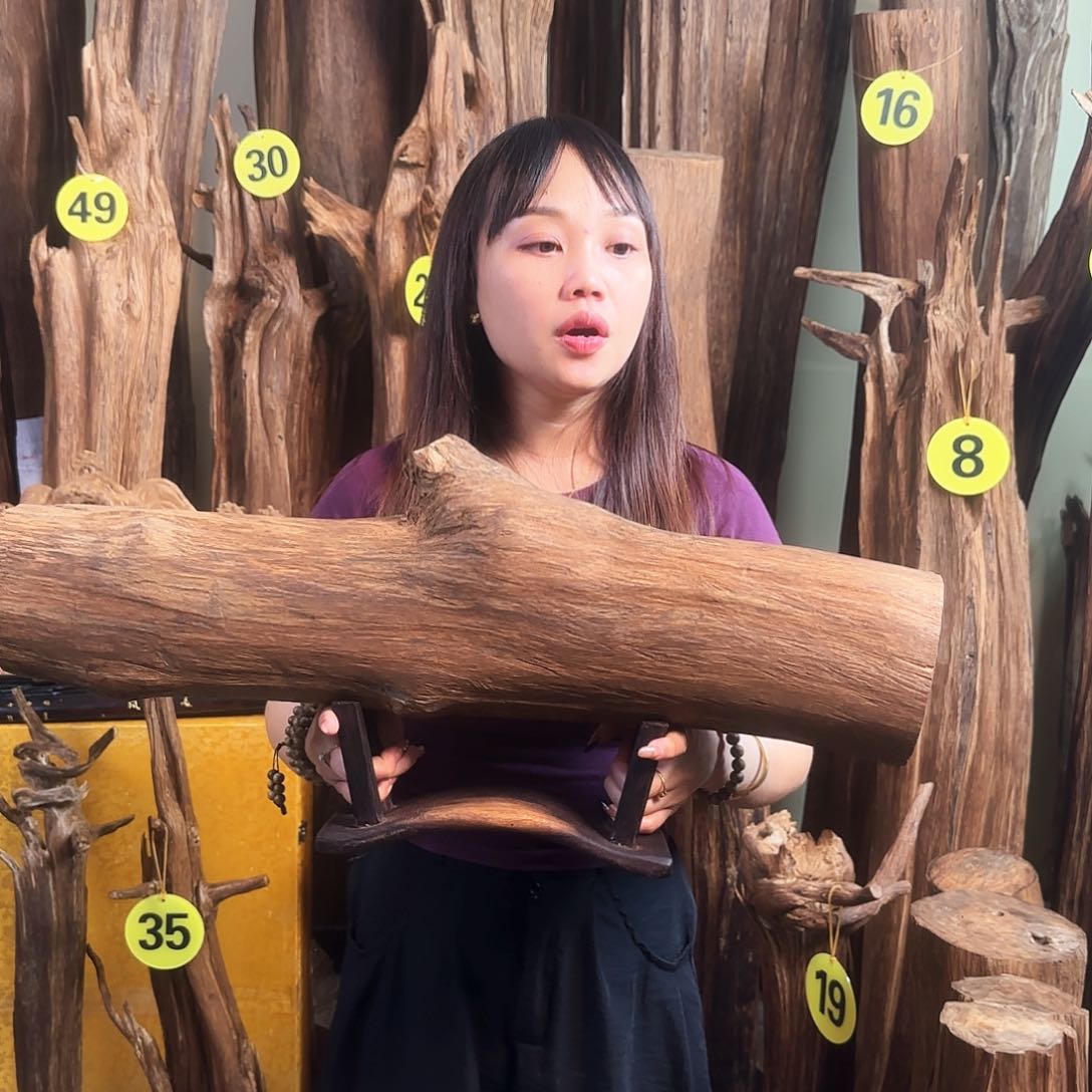 沉香沉香碎屑天然沉香原材料摆件➕底座