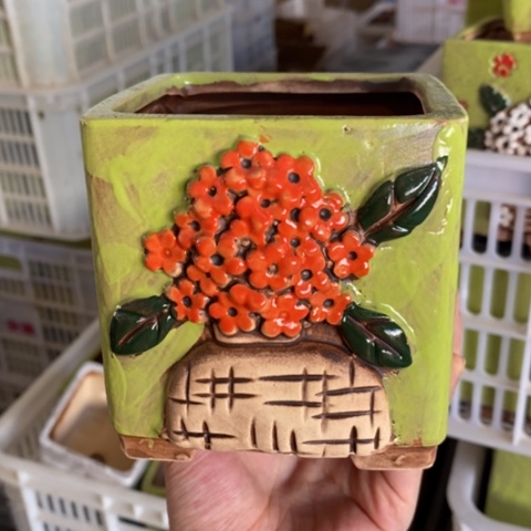 【闪购商品】          