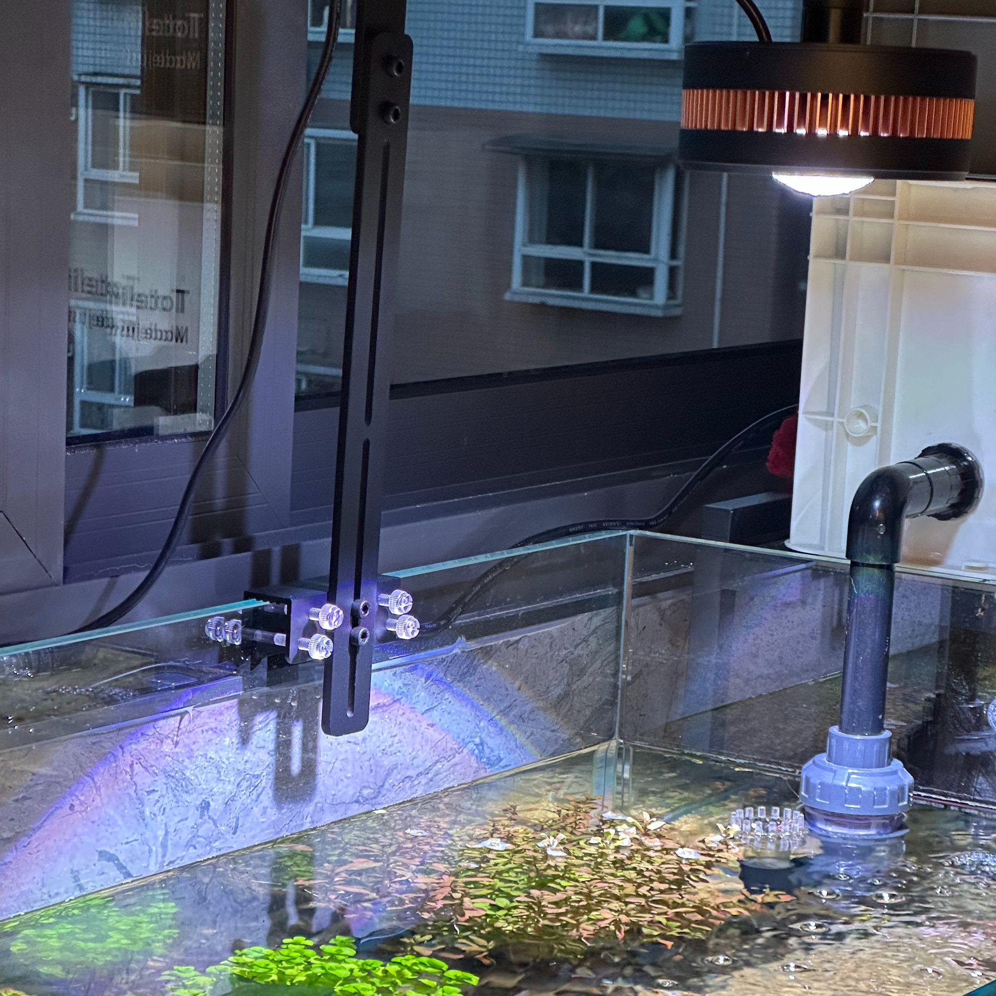 溪流缸水草暴藻专用