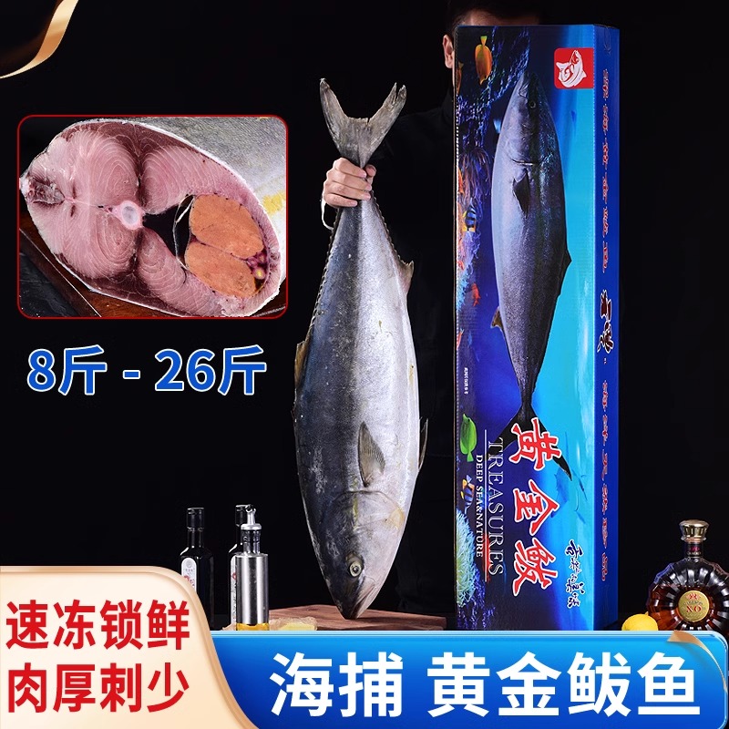 特大黄金鲅鱼13-24斤深海鱼新鲜特产大鲅鱼整条春节送礼盒
