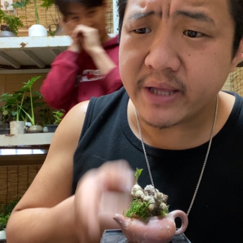 红陶糖*果一物一拍所见即所得185