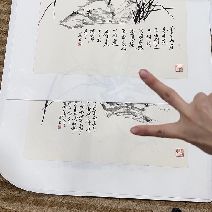 国画?***土花鸟等多种鸟类和鸟类