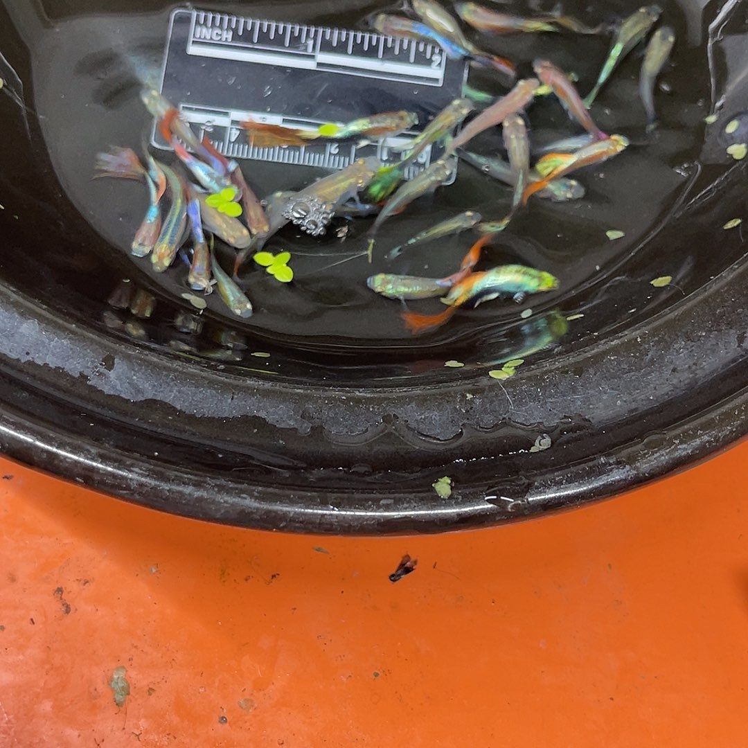海水25号哈哈哈哈哈哈