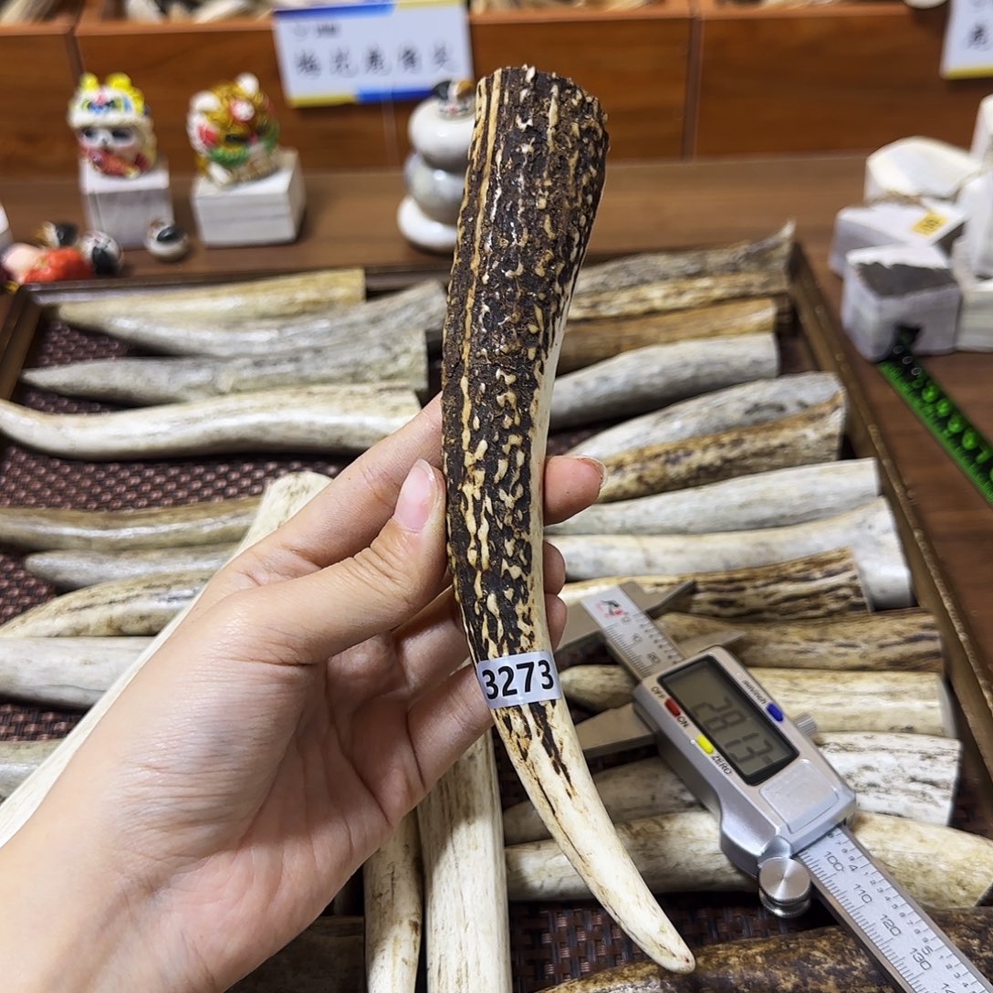 鹿骨手串/手链3273梅花鹿尖