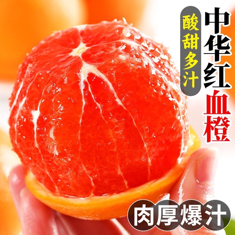 【橙中贵族】正宗中华红血橙红脐橙当季水果新鲜发货L1