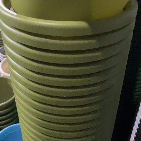 树脂四季4号果绿无托10个